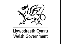 Welsh Assembly Government Logo